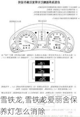 雪铁龙,雪铁龙爱丽舍保养灯怎么消除