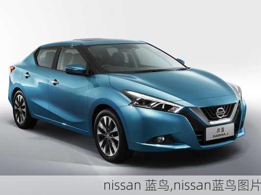 nissan 蓝鸟,nissan蓝鸟图片