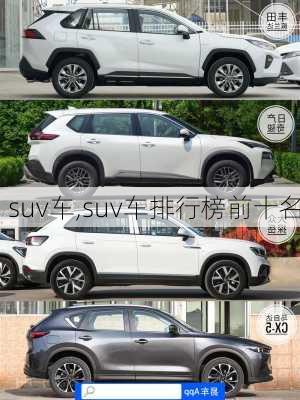 suv车,suv车排行榜前十名